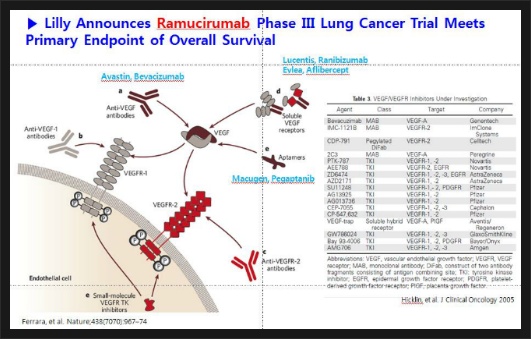 나를 찾아 떠나는 시간여행 Ramucirumab Phase III Lung Cancer