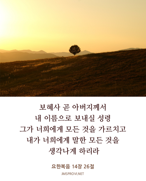 보혜사 성령에 대한 이미지 검색결과