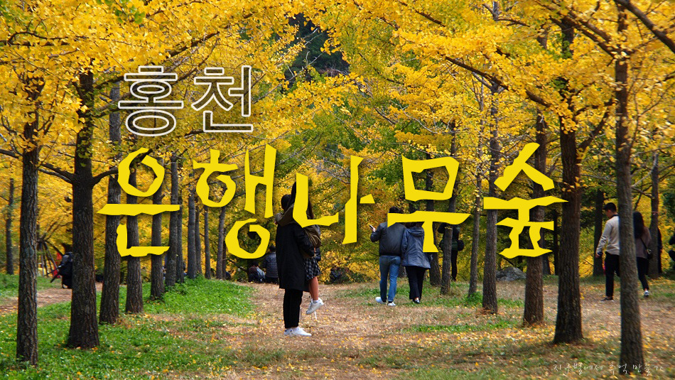 아주나무카페 이미지