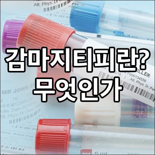 감마지티피란 무엇인가